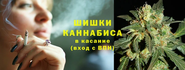 СК Медвежьегорск