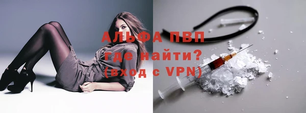 СК Медвежьегорск