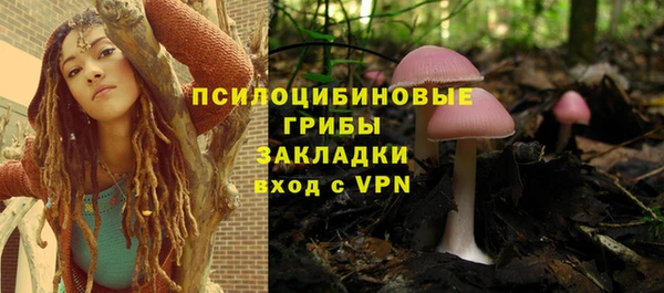 мяу мяу мука Михайловск
