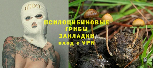 дживик Михайлов