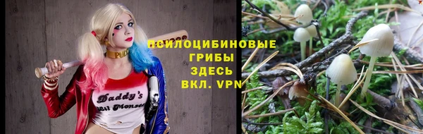 мяу мяу мука Михайловск