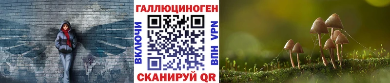 Галлюциногенные грибы Cubensis  Шимановск 