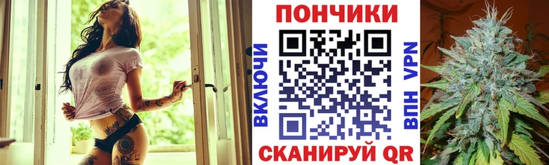 Канабис сатива  где можно купить   Шимановск 